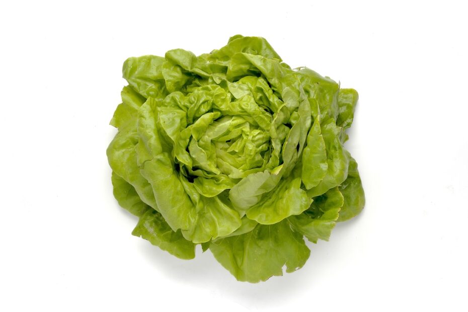 Fotografias de alimentos tipicamente consumidos em Portugal para utilização gratuita 4