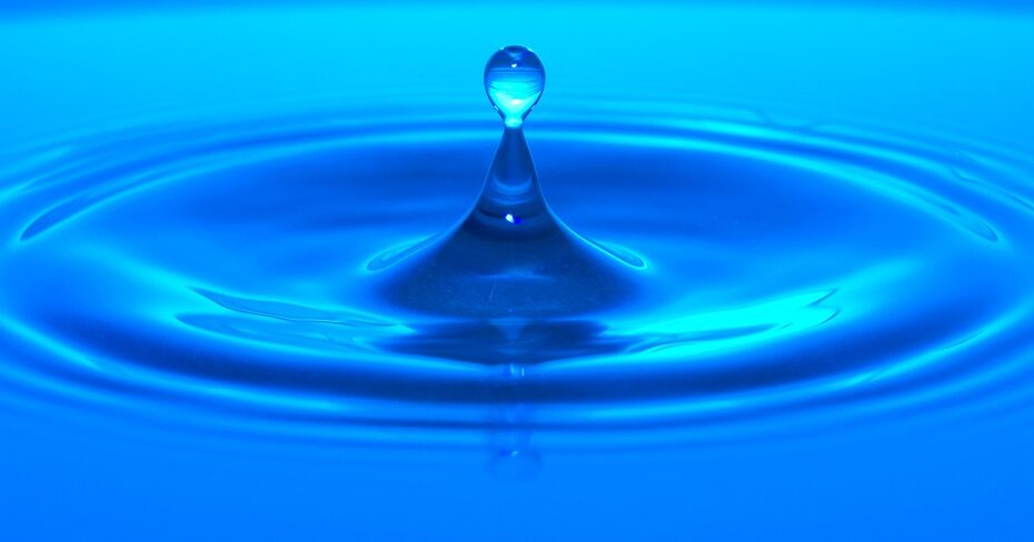 Concurso Dia Mundial da Água 4