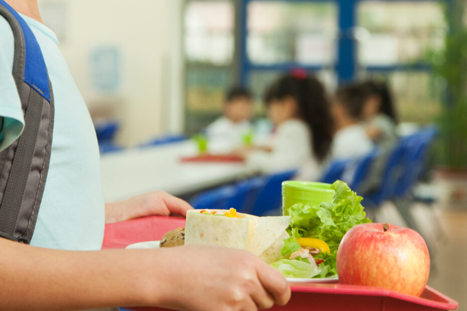 Opção Vegetariana nas Ementas das Cantinas e Refeitórios Públicos 3