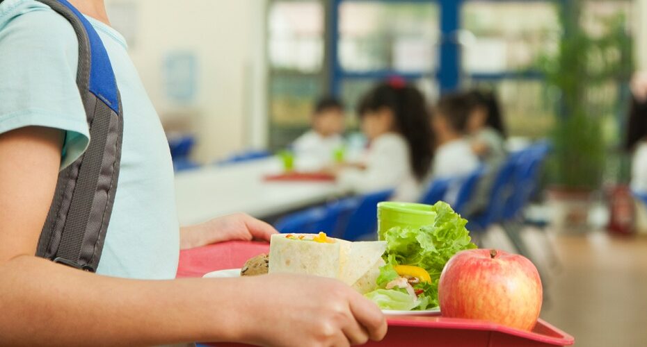 Cantinas escolares saudáveis e amigas do ambiente 5 Cantinas escolares saudáveis e amigas do ambiente 5