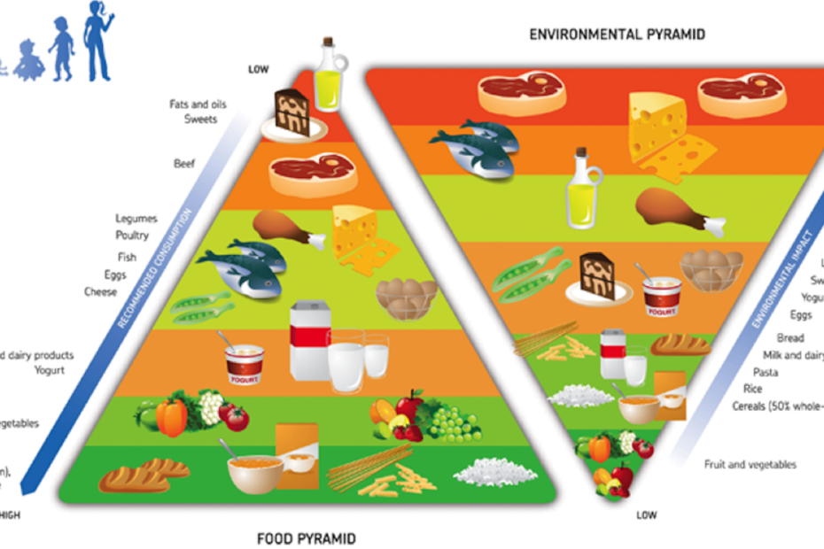 Pirâmide alimentar amiga do ambiente 1