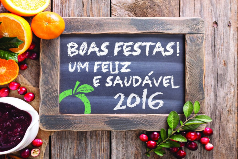 Boas Festas! | Um feliz e saudável 2016 2 Boas Festas! | Um feliz e saudável 2016 2