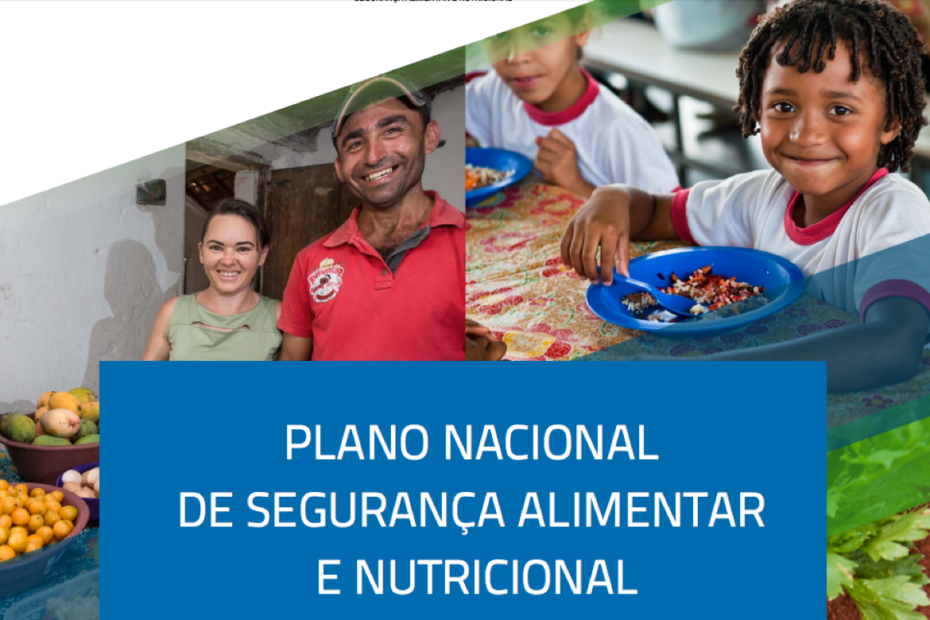 Segundo Plano Nacional de Segurança Alimentar e Nutricional no Brasil 4