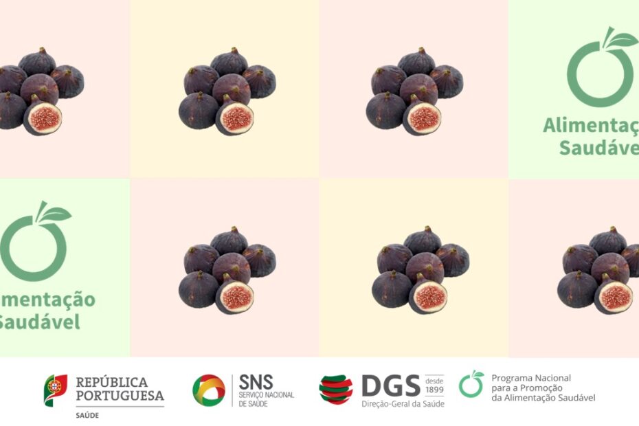 Figo | Nutrimento Sazonal - Edição Verão 2