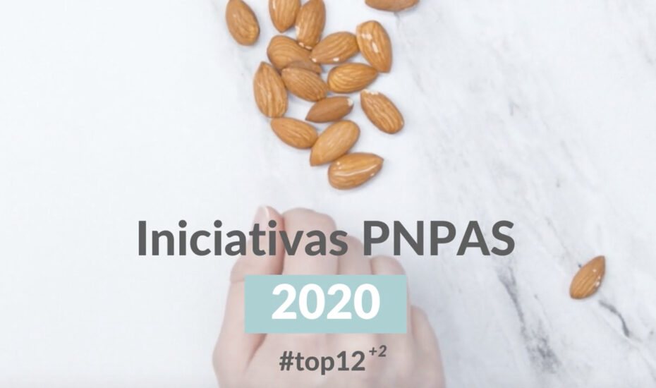 Iniciativas PNPAS 2020 1