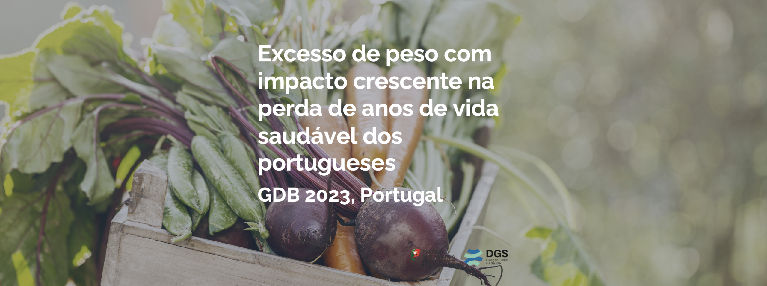 Excesso de peso com impacto crescente na perda de anos de vida saudável dos portugueses 3